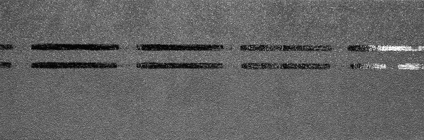 Коньково-карнизная черепица Docke Premium, черника купить в Домодедово